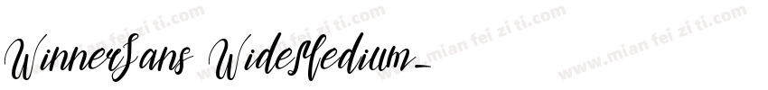 WinnerSans WideMedium字体转换